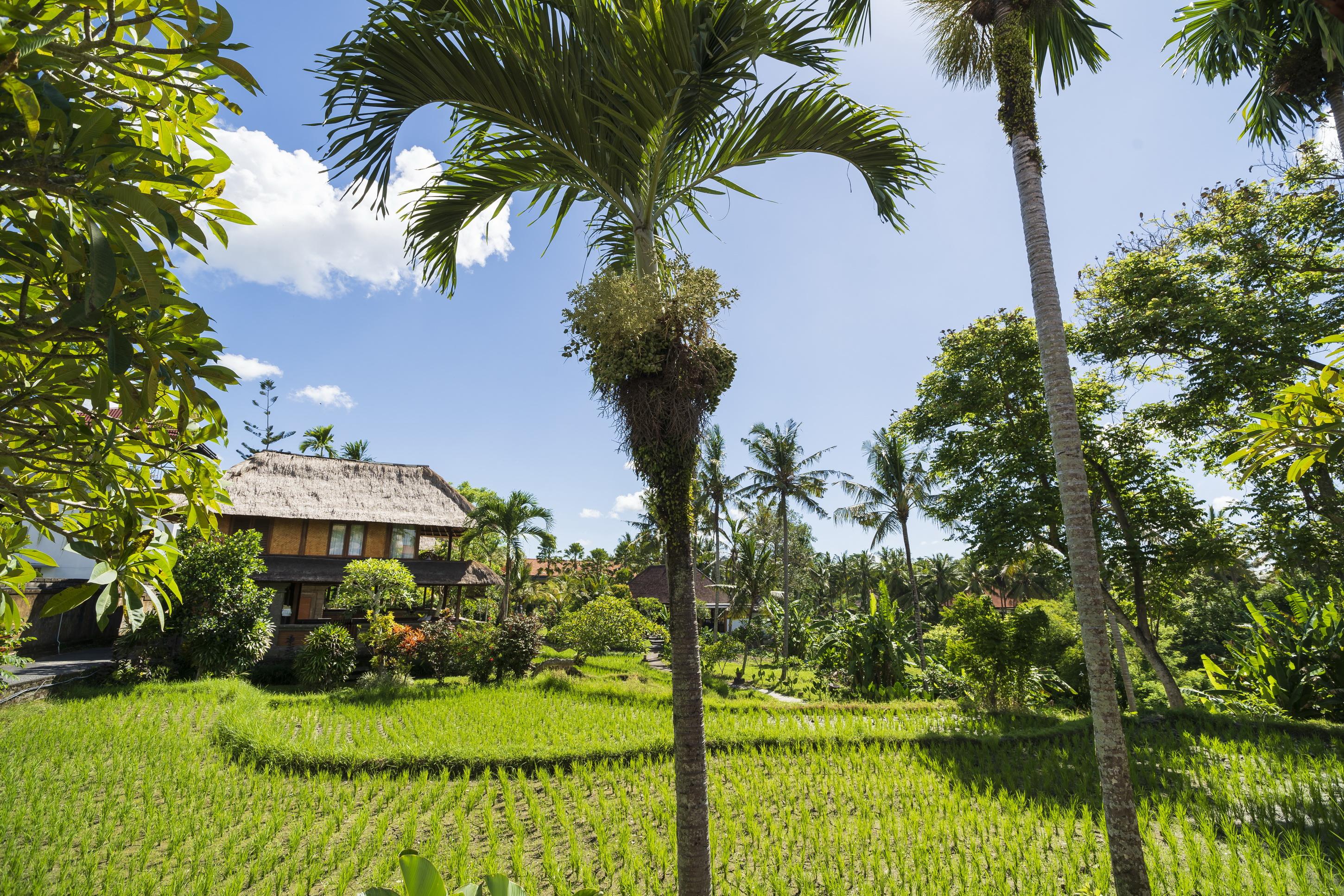 Agung Raka Villa Ubud Buitenkant foto