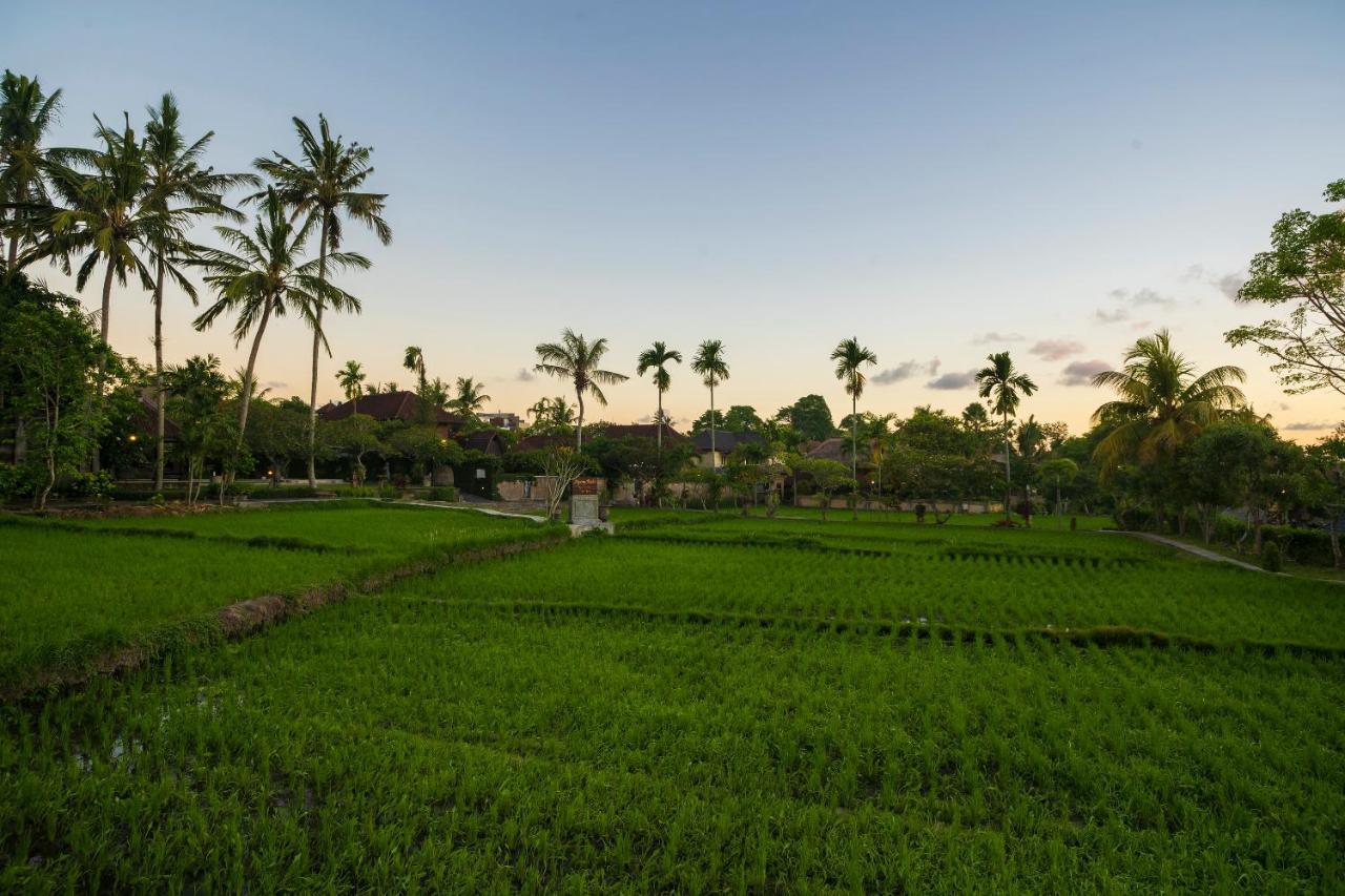 Agung Raka Villa Ubud Buitenkant foto